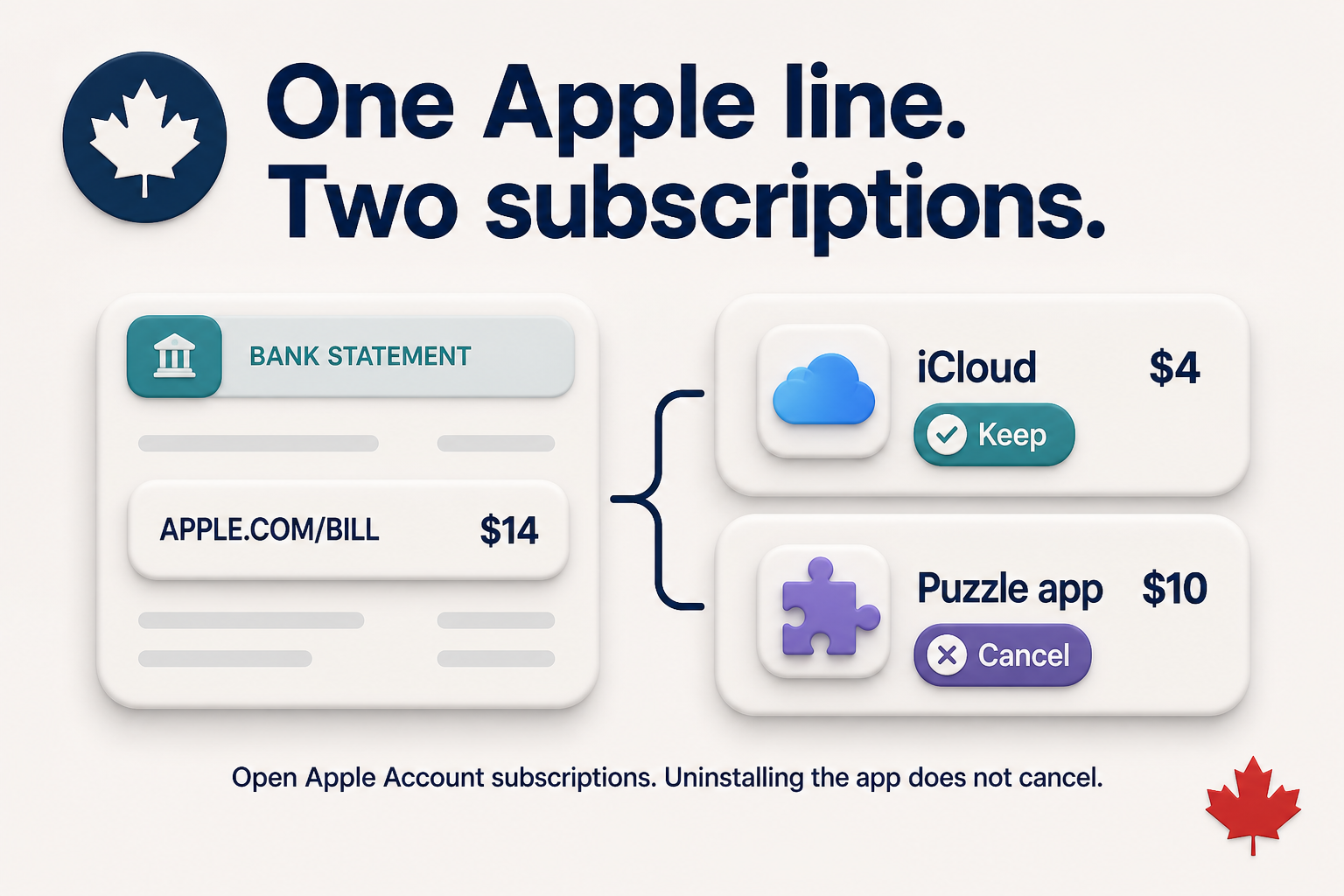 One APPLE.COM/BILL line of $14 split into iCloud $4 keep and an unused puzzle app $10 cancel.